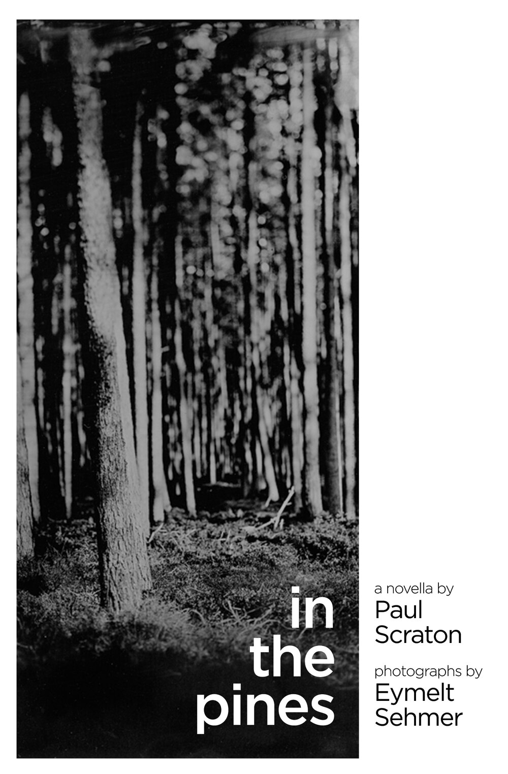 In the Pines (2021, Influx Press)