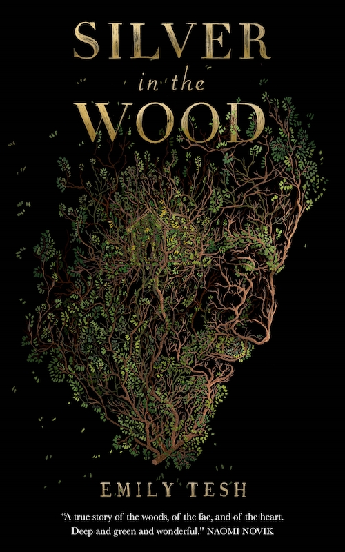 Silver in the Wood (EBook, 2019, Doherty Associates, LLC, Tom)